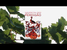 Charger et lire la vidéo dans la visionneuse de la Galerie, Quinta do Perdigão Alfrocheiro 75cl
